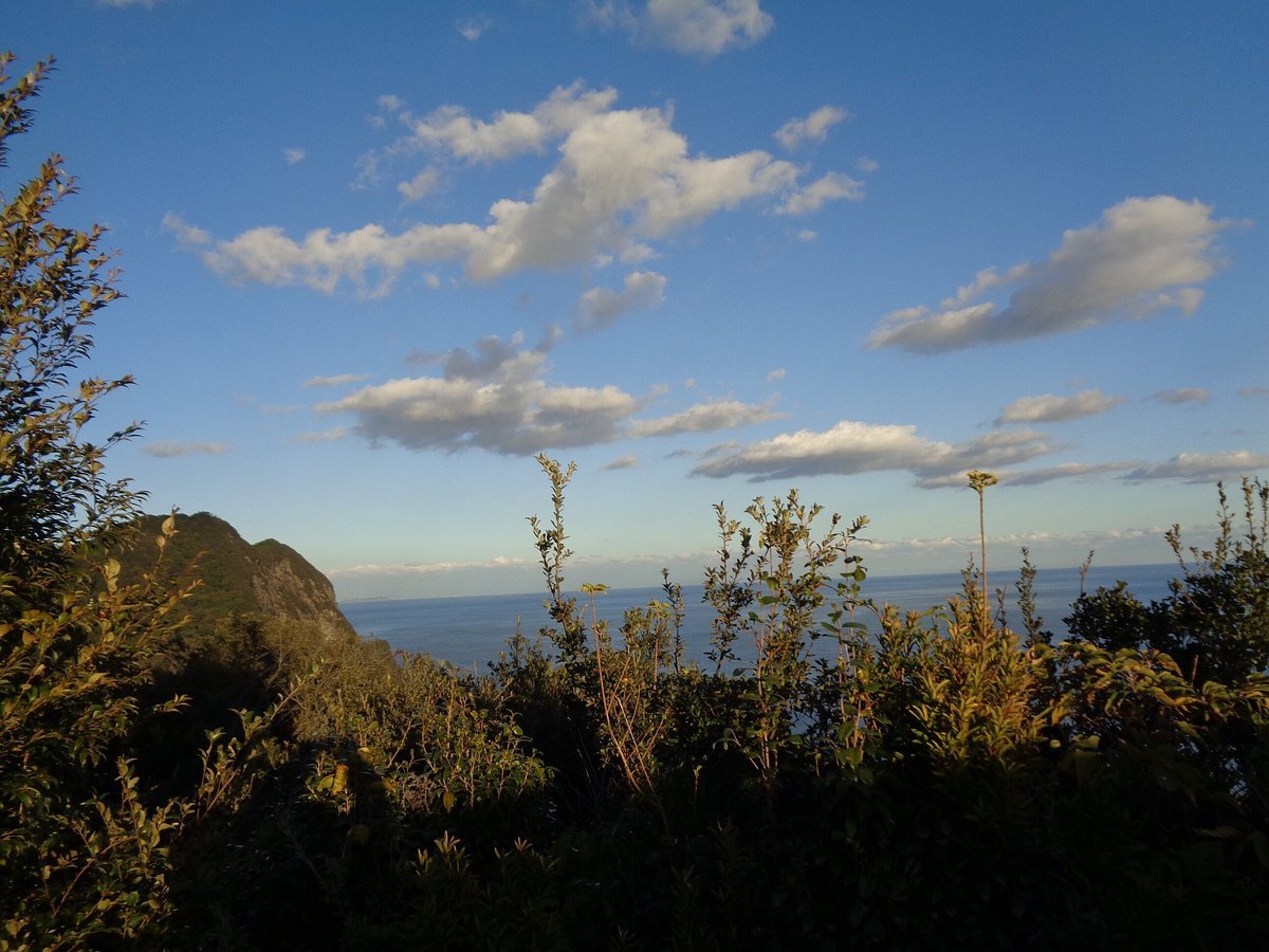 🏞️ 무로토아난 해안국정공원 이미지 4